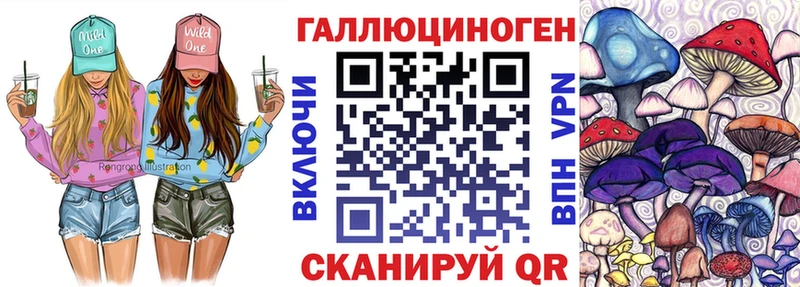 хочу   Хилок  Псилоцибиновые грибы Psilocybe 
